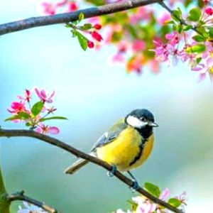 TONIGHT POP UP SALE UP TO 50% OFF!